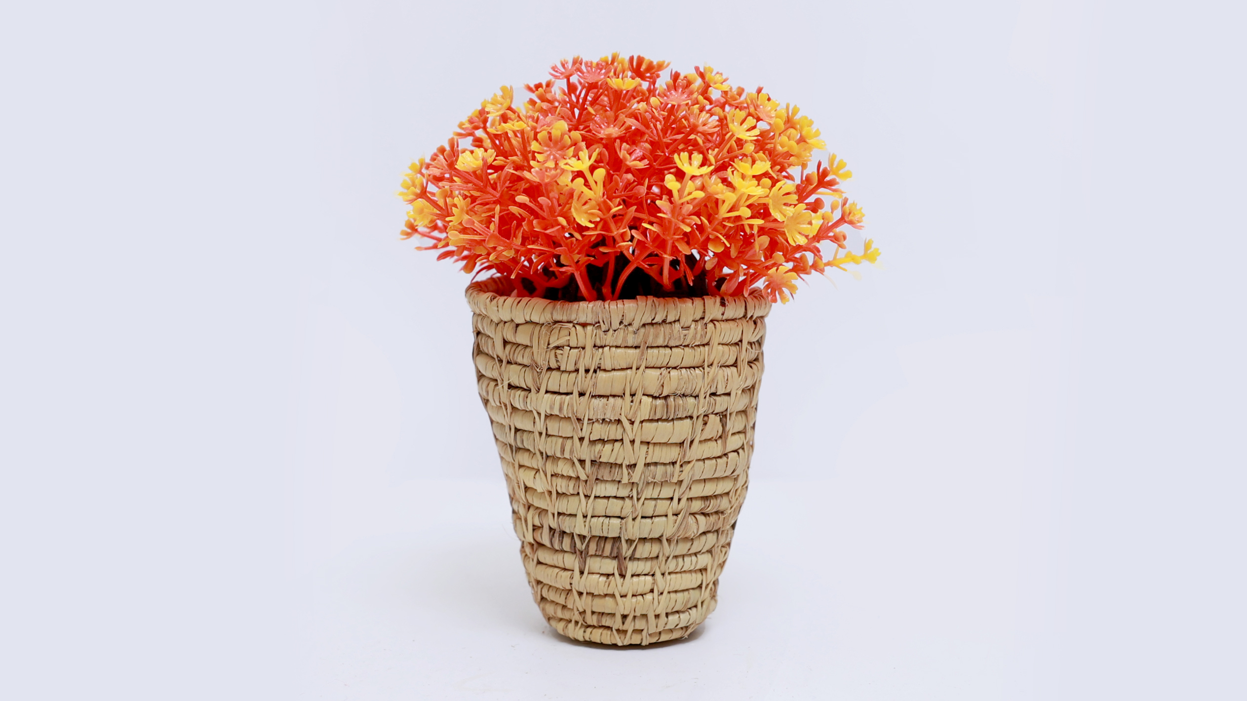 Halfa (Esparto Grass) and Doum (Dwarf Palm) Plant Products