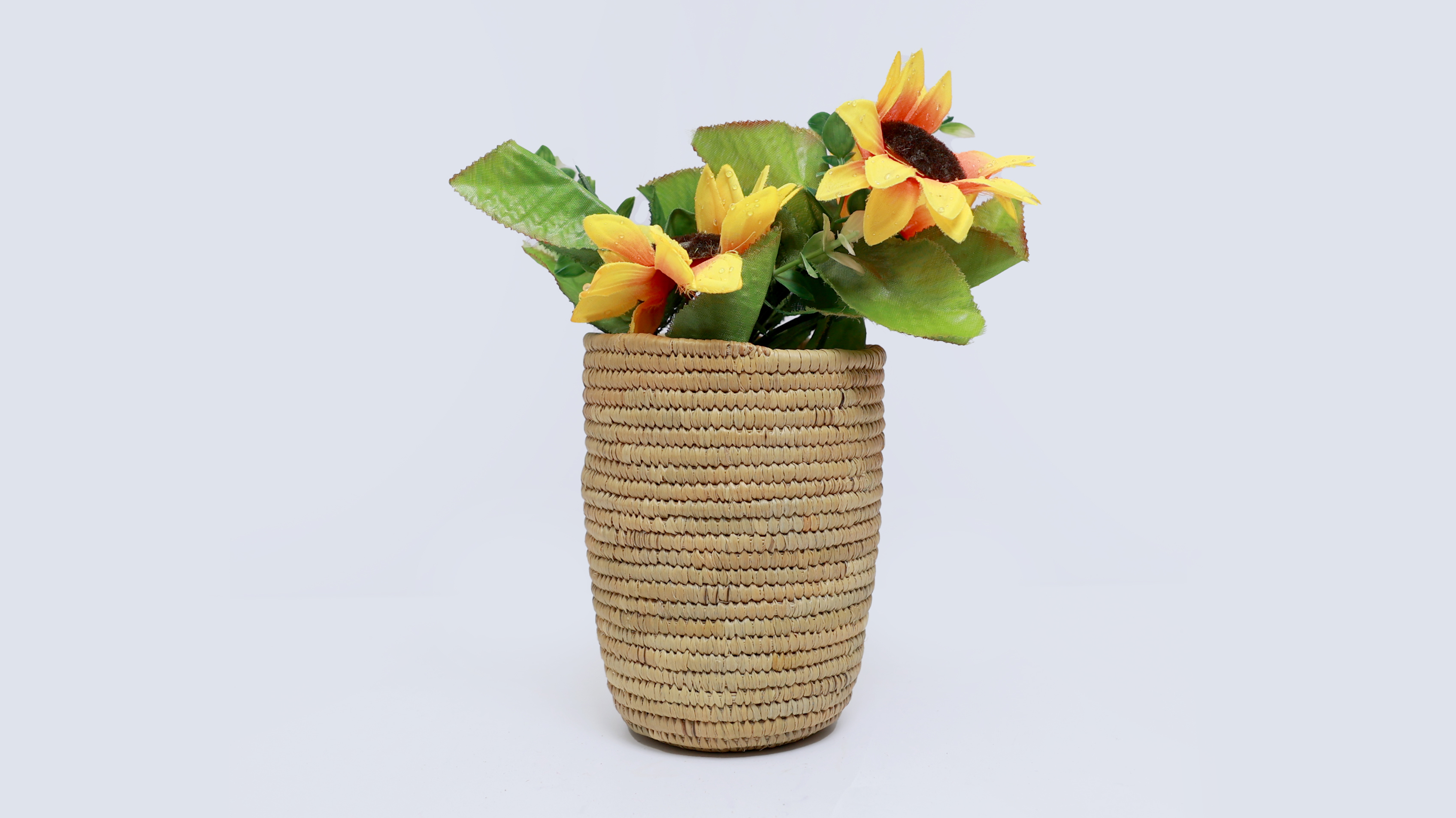 Halfa (Esparto Grass) and Doum (Dwarf Palm) Plant Products