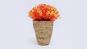 Halfa (Esparto Grass) and Doum (Dwarf Palm) Plant Products