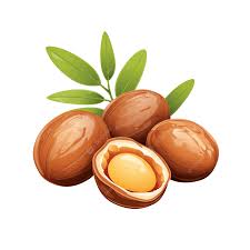 Argan et ses dérivés