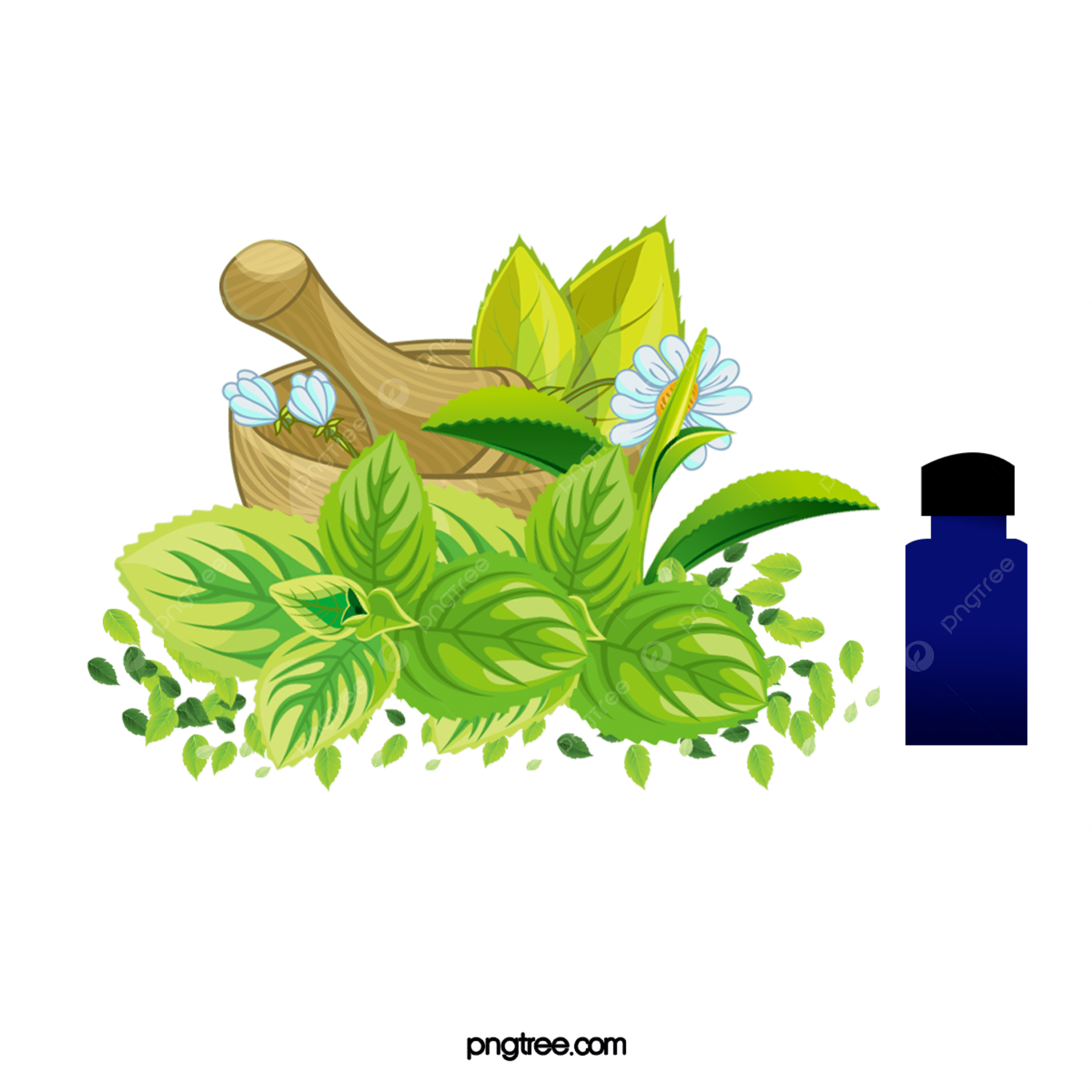 Plantes médicinales et aromatiques